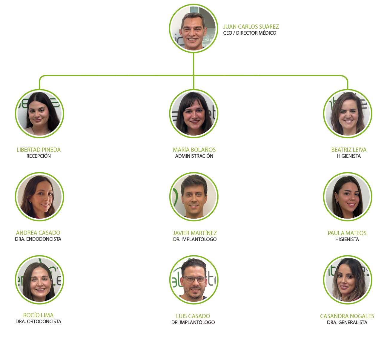 Equipo Merida Nuevo